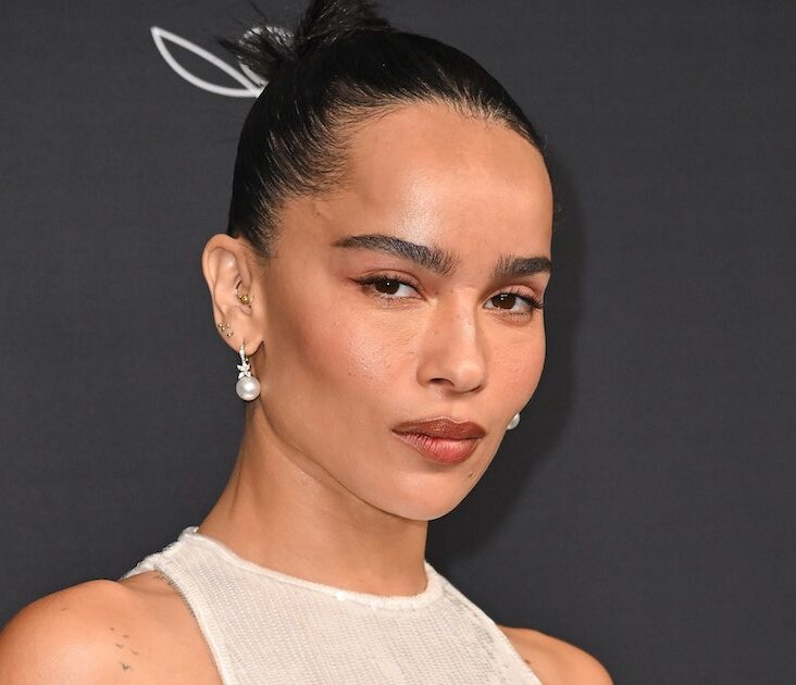 What Is Zoe Kravitz's 'Blink Twice' Even About?