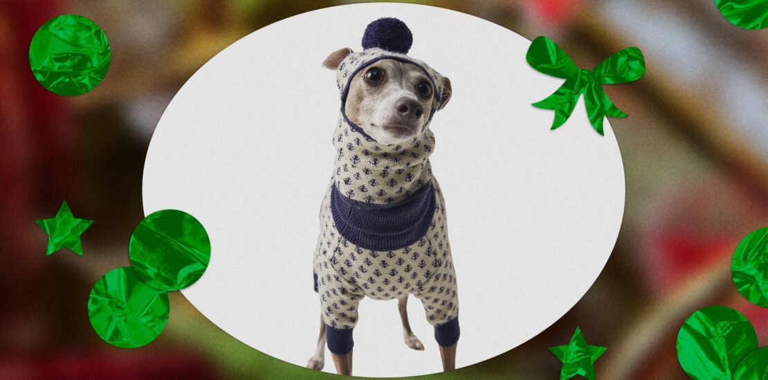 26 Gifts For Dogs, Cats, And Their Humans